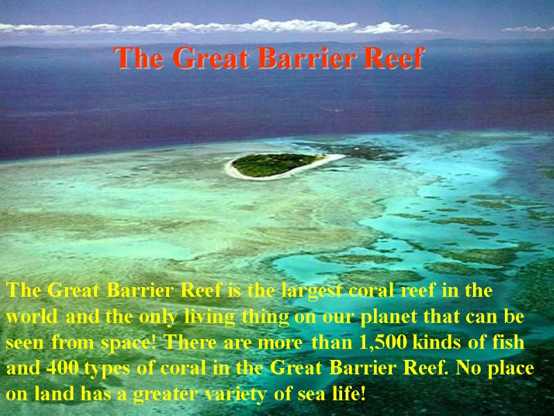 The Great Barrier Reef The Great Barrier Reef is the largest coral reef in